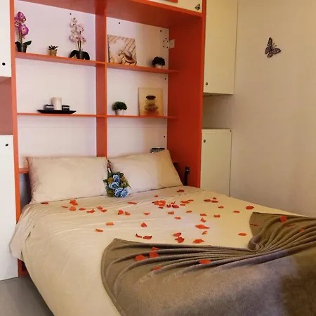 Sweet Paraiso Sol Da Rocha *