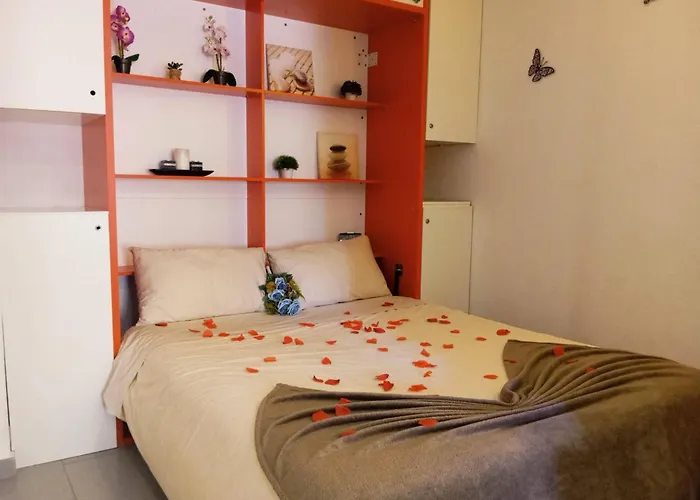 Sweet Paraiso Sol Da Rocha *